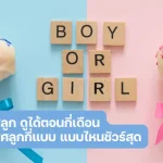 ดูเพศลูก ทายเพศลูก