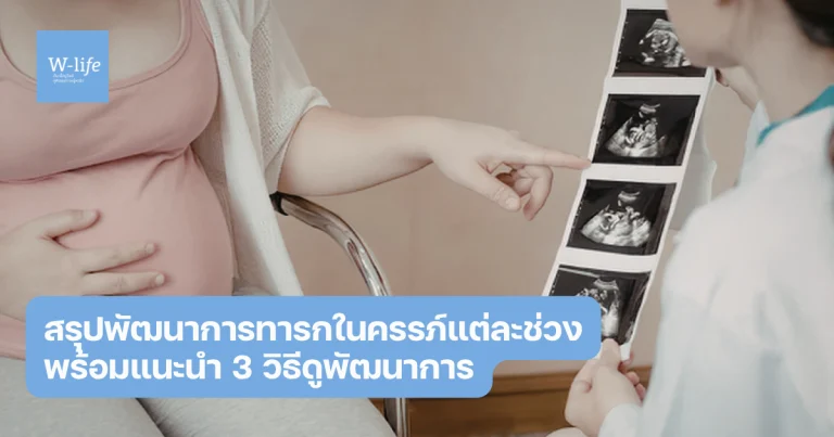 พัฒนาการทารกในครรภ์